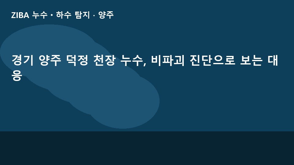 경기 양주 덕정 천장 누수, 비파괴 진단으로 보는 대응
