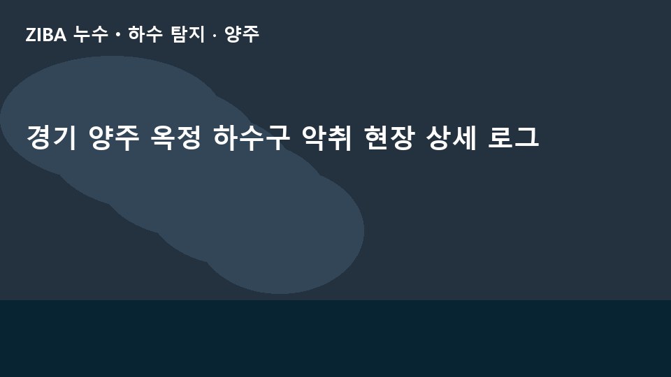 경기 양주 옥정 하수구 악취 현장 상세 로그