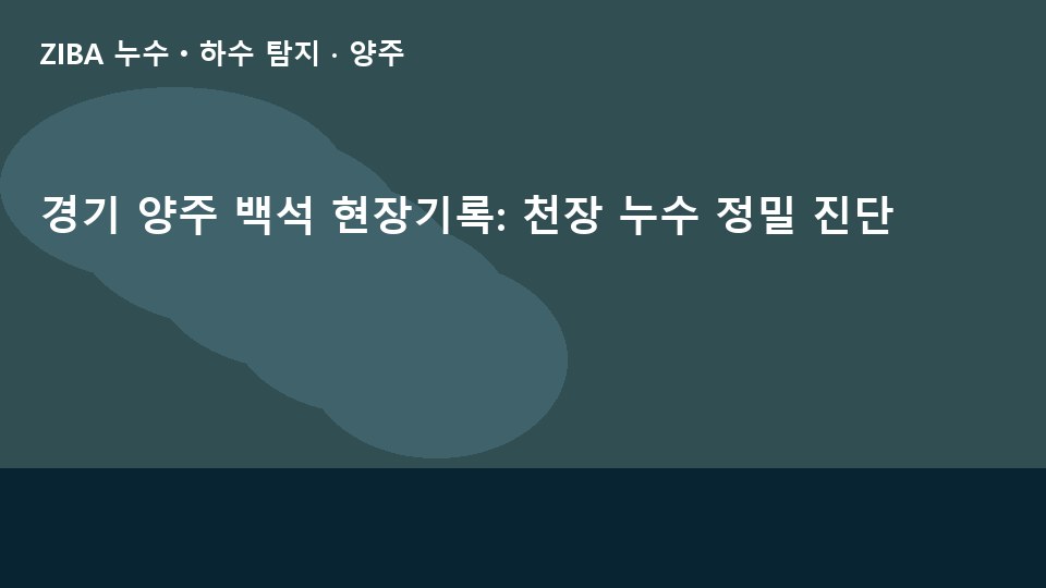 경기 양주 백석 현장기록: 천장 누수 정밀 진단