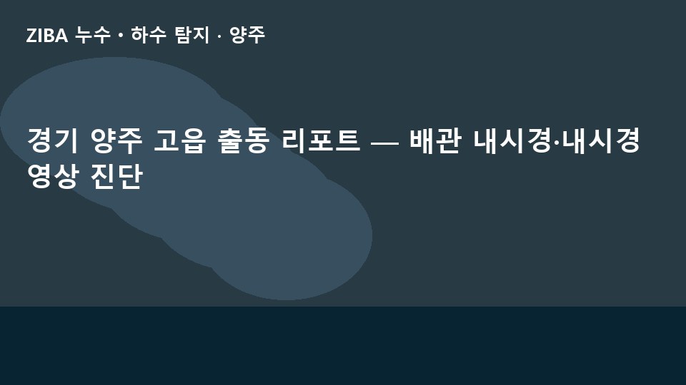 경기 양주 고읍 출동 리포트 — 배관 내시경·내시경 영상 진단