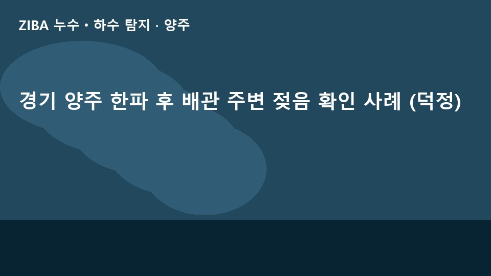 경기 양주 한파 후 배관 주변 젖음 확인 사례 (덕정)