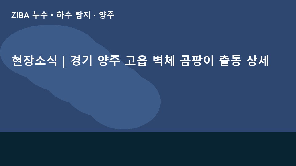 현장소식 | 경기 양주 고읍 벽체 곰팡이 출동 상세